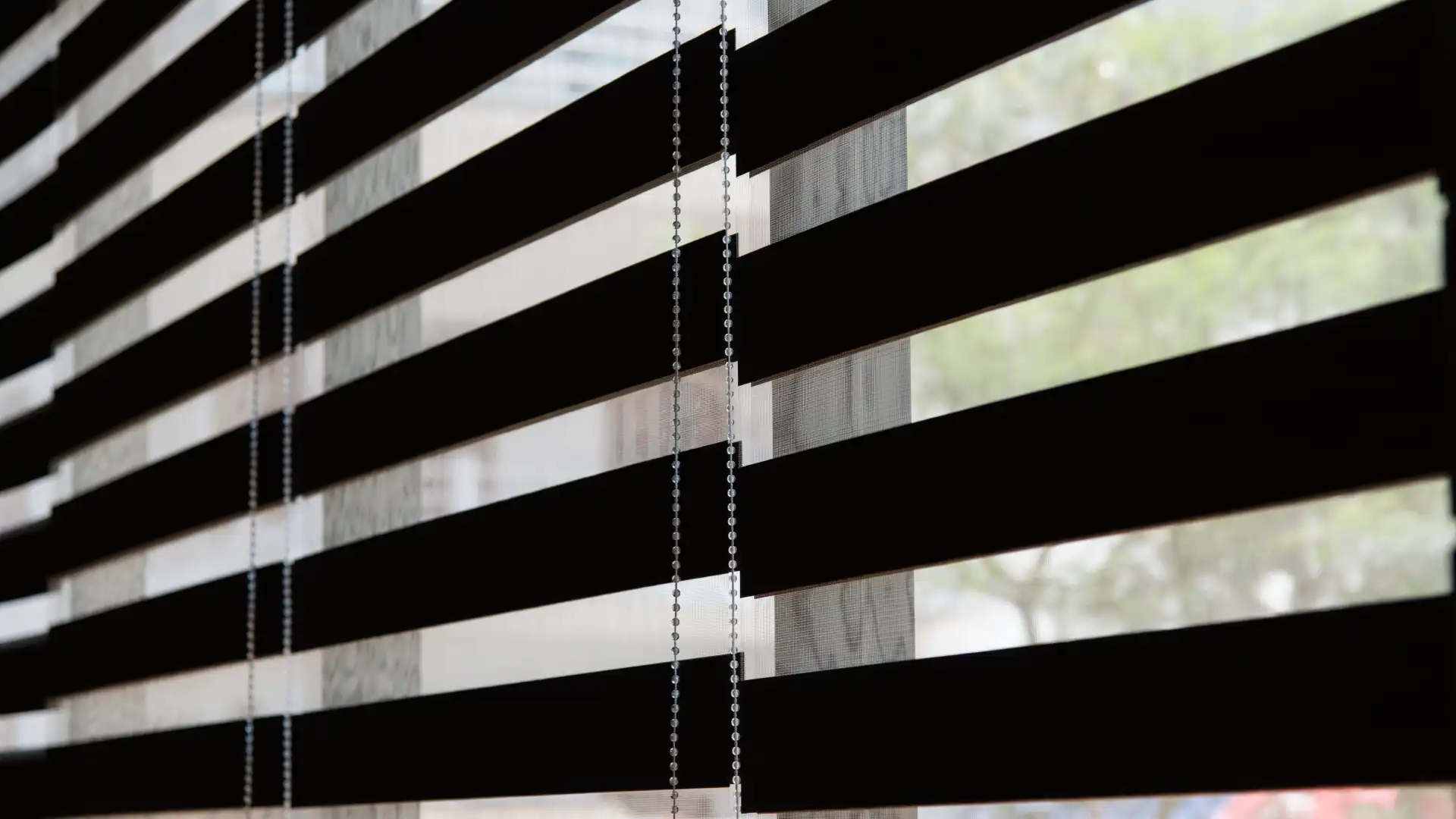 Zebra Blinds Pros