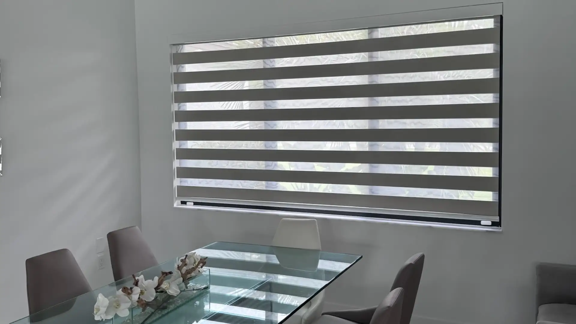 Best Zebra Blinds