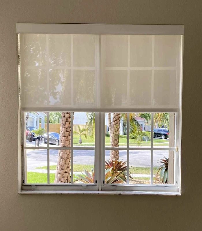 Roller Shades on window