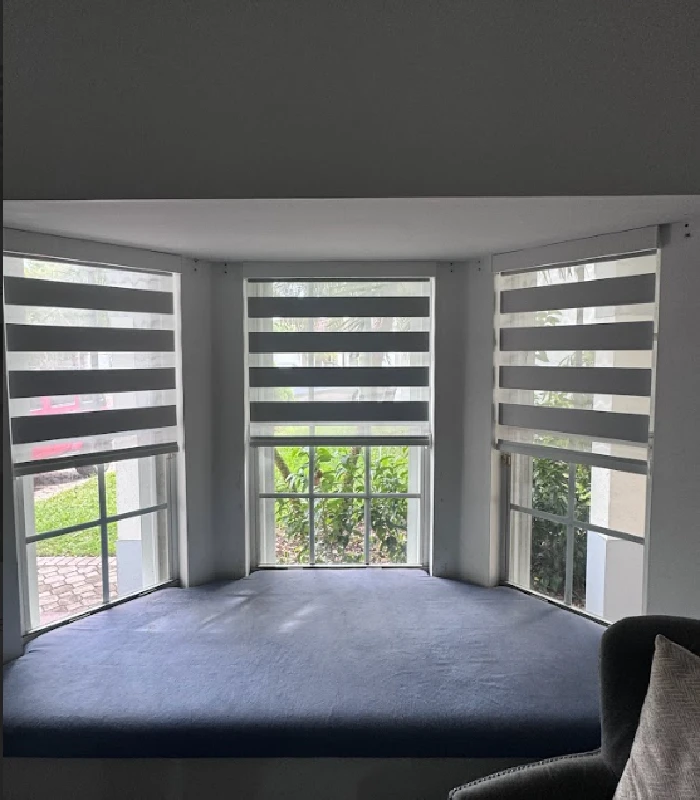 Best Zebra Blinds in Miami