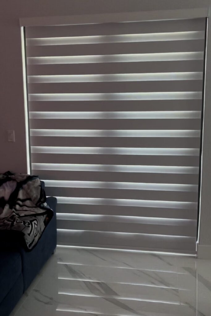 zebra shade in door