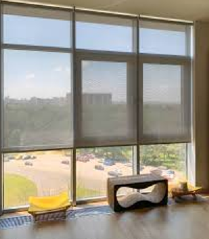 Motorized Screen Blinds