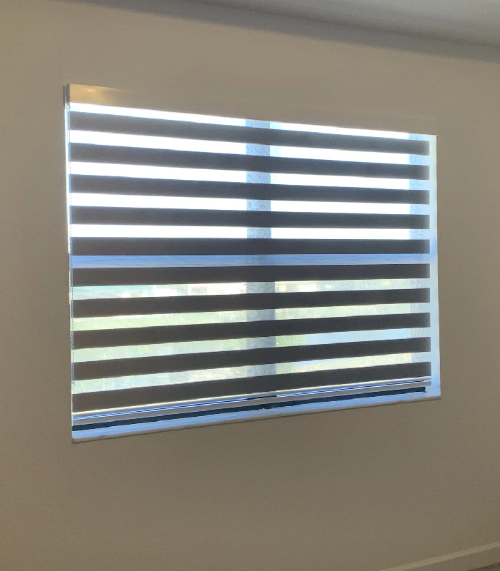 dual layer zebra blinds light control miami