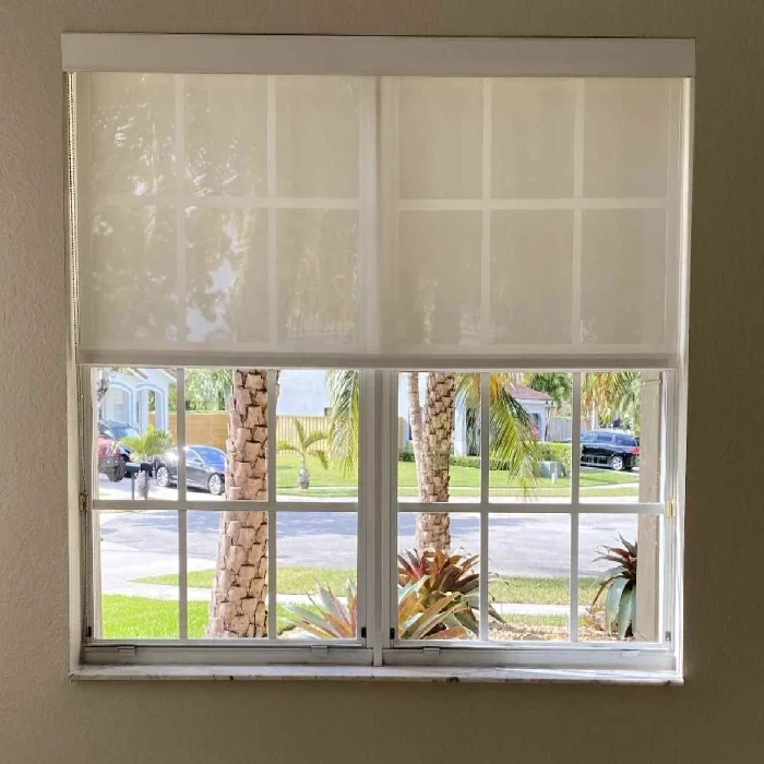 Roller Shades on window