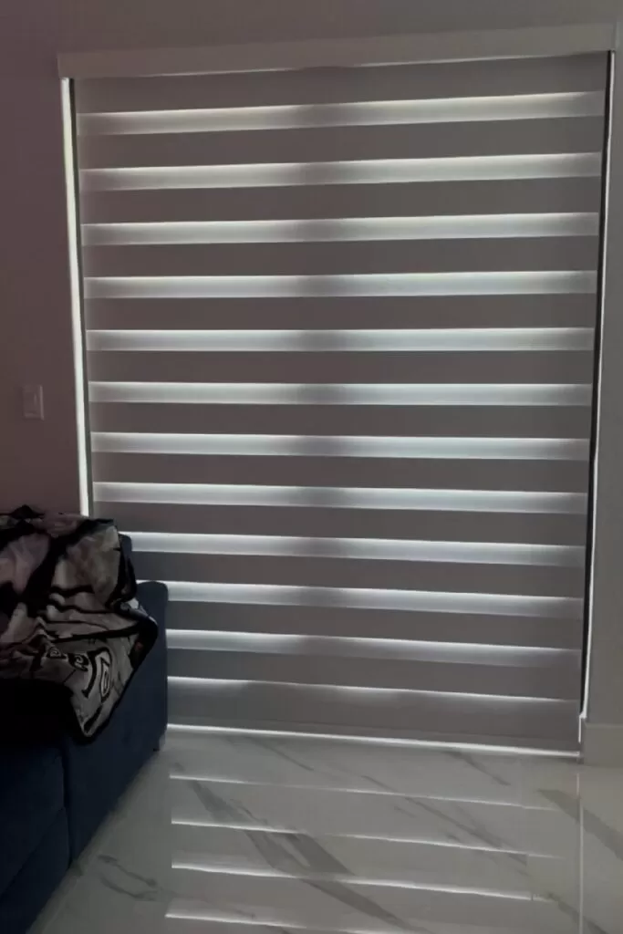 zebra shade on door
